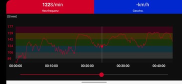 Pulsmätning med Polar H10 bröstband.