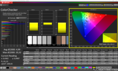 Calman ColorChecker efter kalibrering