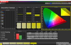 CalMAN-mättnad (profil: P3)