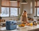 Bluetti Pioneer Na är ett bärbart natriumjonkraftverk som kan driva upp till 11 enheter samtidigt (Bildkälla: Bluetti)