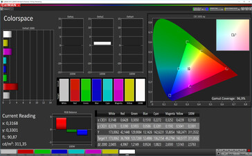 CalMAN: Färgrymd – Naturlig profil: sRGB färgrymd som mål