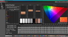 ColorChecker (DCI-P3-inställning)