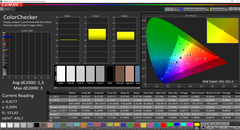 CalMAN: ColorChecker (okalibrerad)