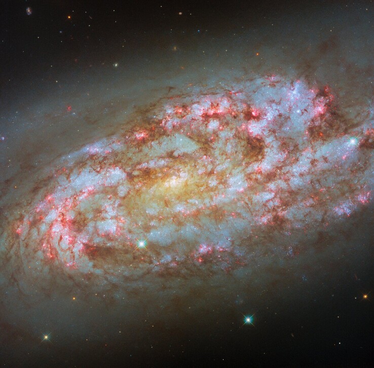 Hubble-bild av NGC 1792 (Bildkälla: ESA/Hubble, NASA, D. Thilker, F. Belfiore, J. Lee och PHANGS-HST-teamet)