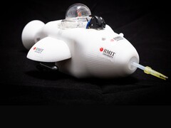 Den elektroniska delfinen