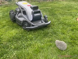 Airseekers Tron upptäckte vår igelkottsdocka på ett tillförlitligt sätt i testet.