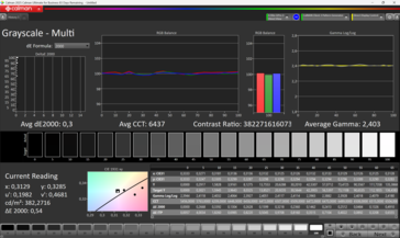 Graustufen kalibrerad
