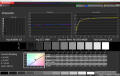 CalMAN Gråskalor (efter kalibrering)