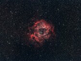 Ett foto av Rosette-nebulosan