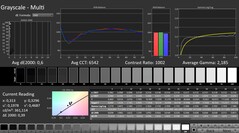 CalMAN: Gråskala (kalibrerad)