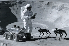 Kinesiska ingenjörer anser att robothundar på månen skulle kunna hjälpa astronauterna.