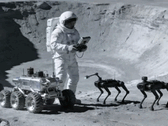 Kinesiska ingenjörer anser att robothundar på månen skulle kunna hjälpa astronauterna.