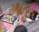 Många spelare föredrar fortfarande Steam Deck trots dess svagare hårdvara.