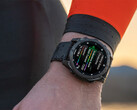 System Software 13.37 är inte den uppdatering som Garmin har visat upp via de senaste betaversionerna. (Bildkälla: Garmin)