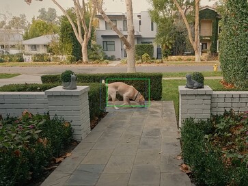 Den nya funktionen kan använda AI för att spåra och lokalisera husdjur i ett grannskap