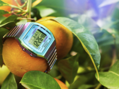 Timex 80 36 mm (bilden) med expansionsband i rostfritt stål. (Bildkälla: Timex)