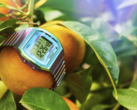Timex 80 36 mm (bilden) med expansionsband i rostfritt stål. (Bildkälla: Timex)