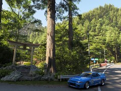 En skärmdump som visar Forza Horizon 6:s rendering av ett japanskt landmärke