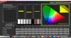 CalMAN ColorChecker (målfärgrymd DCI-P3)