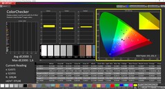 CalMAN ColorChecker (målfärgrymd DCI-P3)