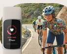 Funktionen Fitbit Unusual trends använder data som hjärtfrekvens och andningsfrekvens. (Bildkälla: Fitbit)