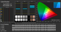 CalMAN - ColorChecker (Efter kalibrering)