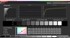 CalMAN gråskala (TrueColor-profil: Display-P3)