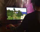Bilden visar en person som spelar Minecraft på en dator.