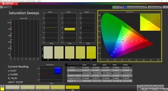 CalMAN Saturation (kalibrerad)