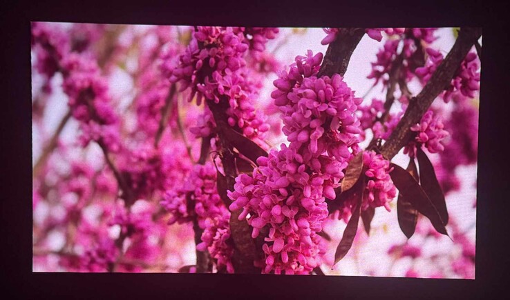 Exempel på bildkvalitet (mörkt rum, skärm med hög kontrast, fotograferad med en iPhone 16 Pro)