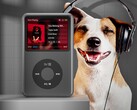 Innioasis säljer en Apple iPod Classic-liknande produkt (Bildkälla: Innioasis)