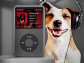 Innioasis säljer en Apple iPod Classic-liknande produkt (Bildkälla: Innioasis)