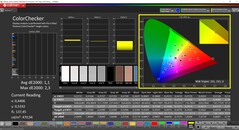 CalMAN ColorChecker (profil: P3, målfärgrymd: P3)