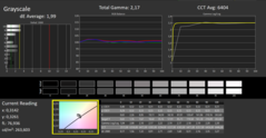 Calman ColorChecker: DisplayP3-läge - gråskala