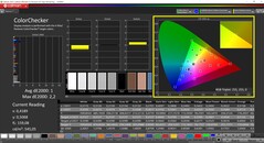 CalMAN ColorChecker (profil: sRGB, målfärgrymd sRGB)