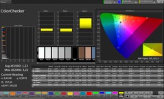ColorChecker (profil: Professionell, målfärgrymd: sRGB)