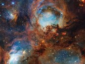En detaljerad bild av kattens tass (Bildkälla: NASA, ESA, CSA och STScI; beskuren)