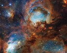 En detaljerad bild av kattens tass (Bildkälla: NASA, ESA, CSA och STScI; beskuren)