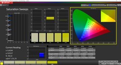 CalMAN Saturation (Schenker-profil)