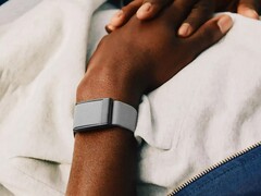 Whoops tracker har uppenbarligen betydande problem (Bildkälla: Whoop)