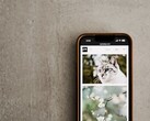 Smartphone på en grå yta med ett galleri av katt- och blombilder på skärmen