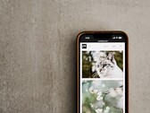 Smartphone på en grå yta med ett galleri av katt- och blombilder på skärmen