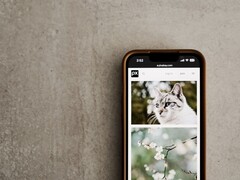 Smartphone på en grå yta med ett galleri av katt- och blombilder på skärmen