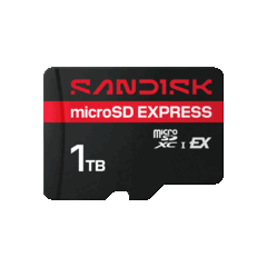 SanDisk har lanserat ett microSD Express-kort på 1 TB som kan utöka lagringsutrymmet på Nintendo Switch 2