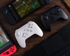 8BitDo råder användare att uppdatera firmware för sin kompatibla handkontroll innan de ansluter den till Nintendo Switch 2. (Bildkälla: 8BitDo)