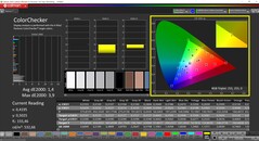 CalMAN ColorChecker (profil: sRGB, målfärgrymd: sRGB)