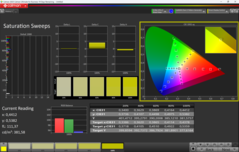 CalMAN mättnad kalibrerad
