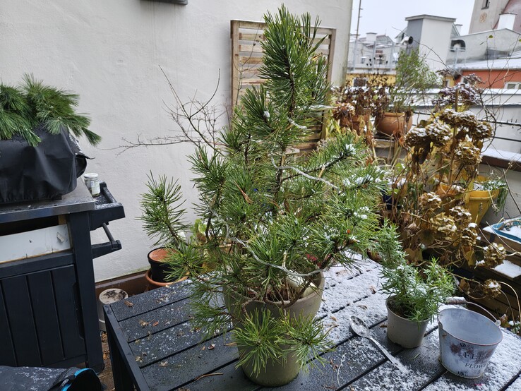 Foto med huvudkameran