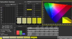 Calman: Färgmättnad (kalibrerad)