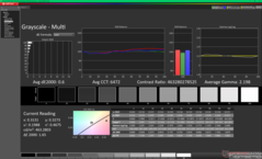 Gråskala före kalibrering (P3)